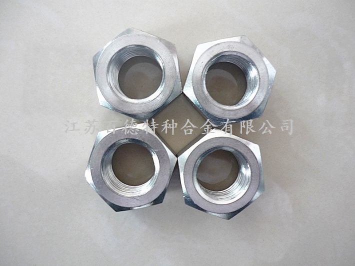 耐蝕合金XM-19(S20910/Nitronic50)螺母